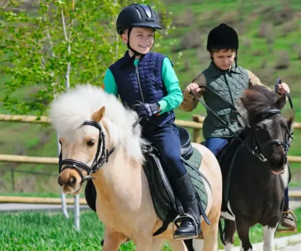 2_equi-vignau-800x504.jpg