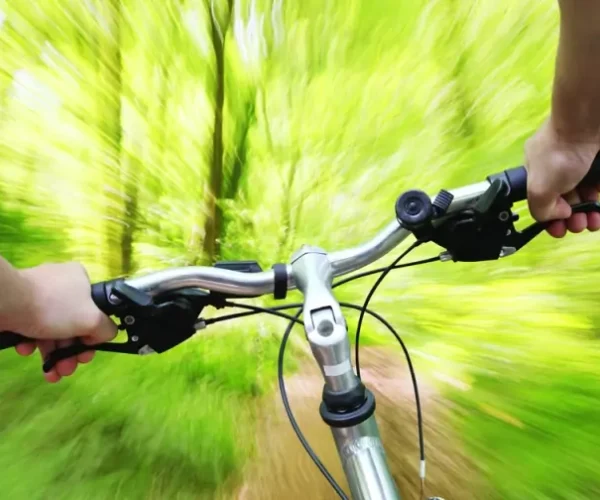 4_vtt-vignau-800x504.jpg